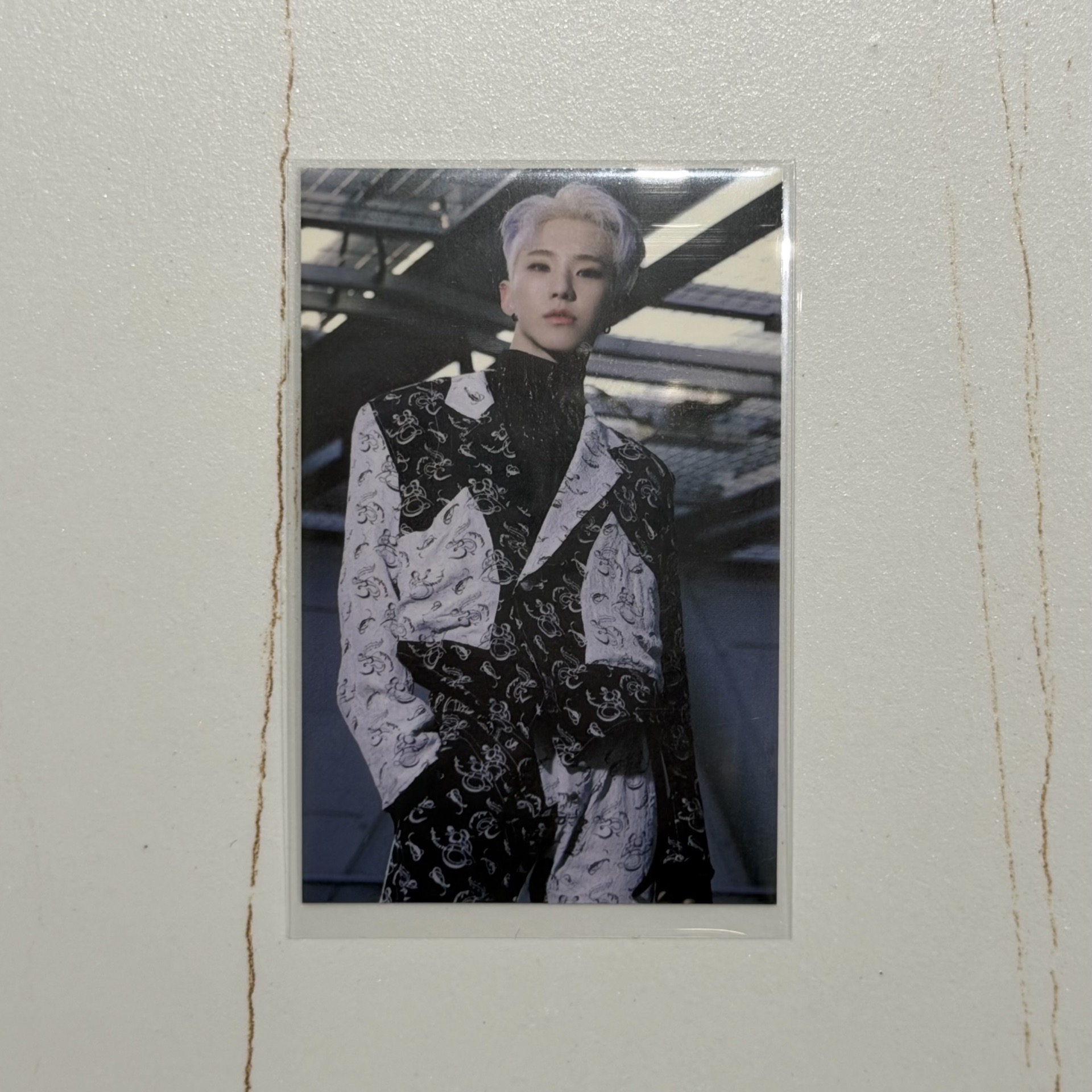 HOSHI ‘SPIDER’隨機卡包 43號