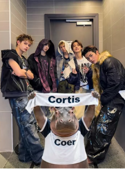 布丁好吃愛吃🍮