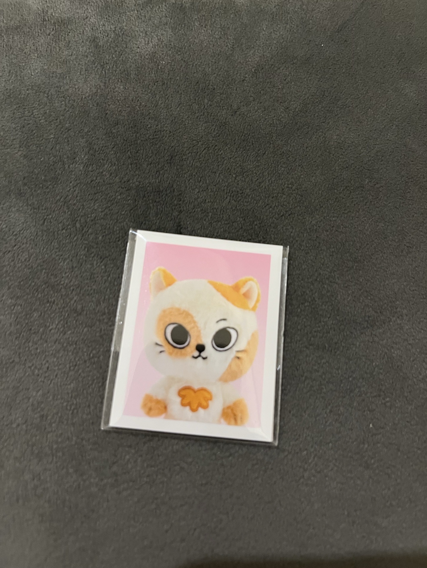 CATBIBI 二販直出