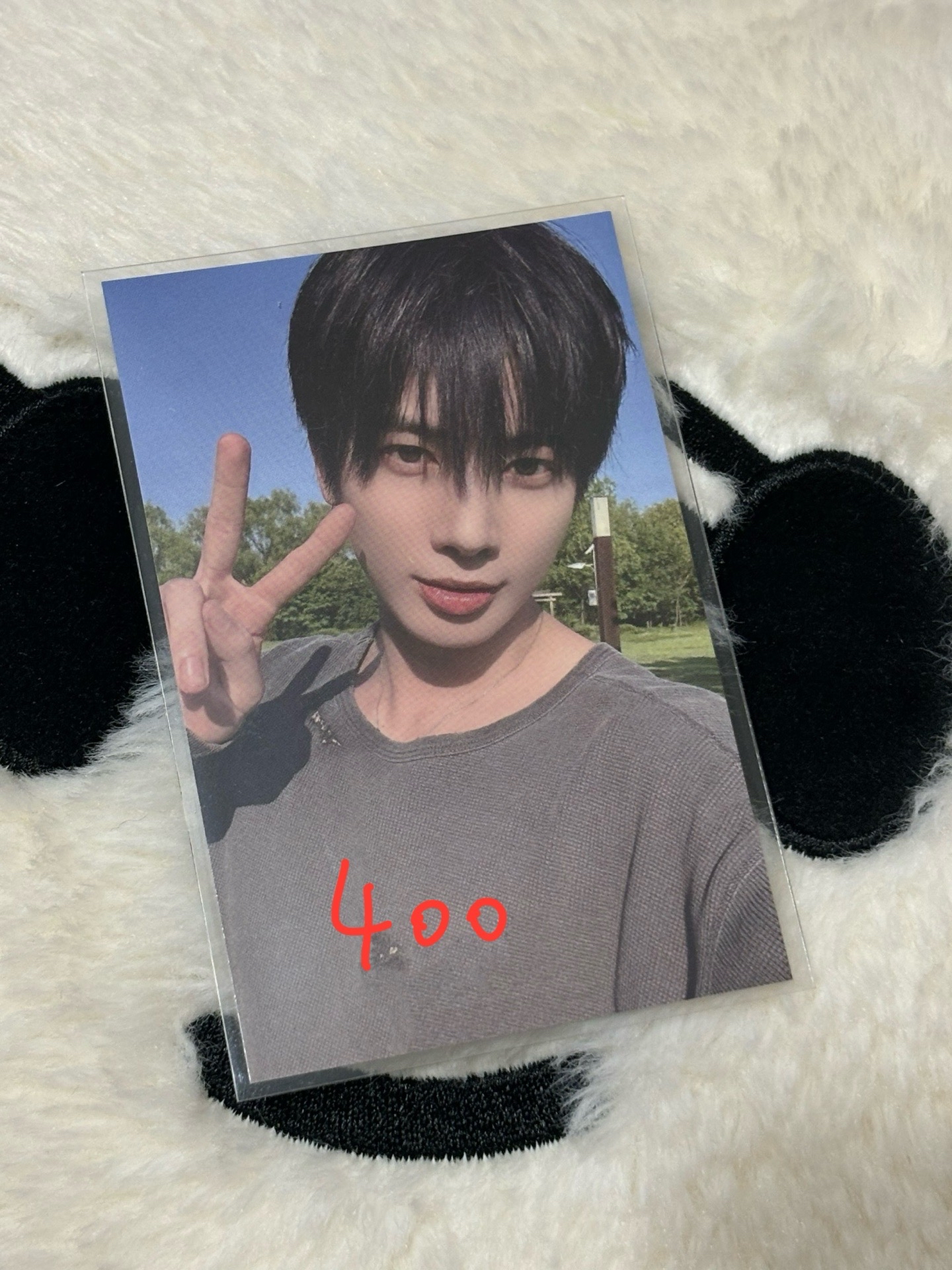 台北場粽 顯（贈對應成員紙星星⭐️）