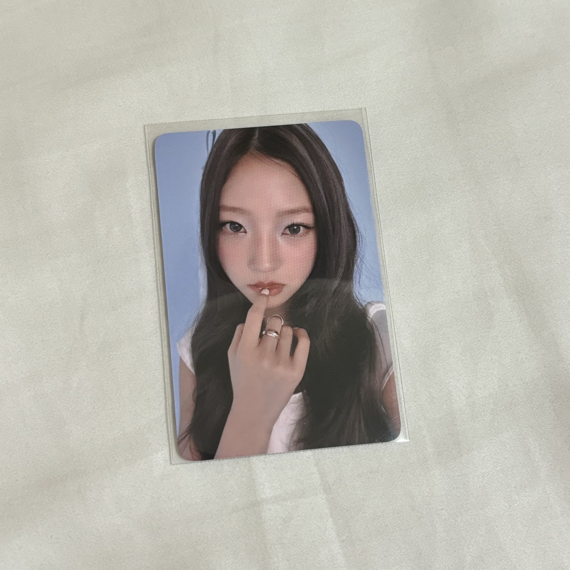 迷一 Focus el預售 Stella