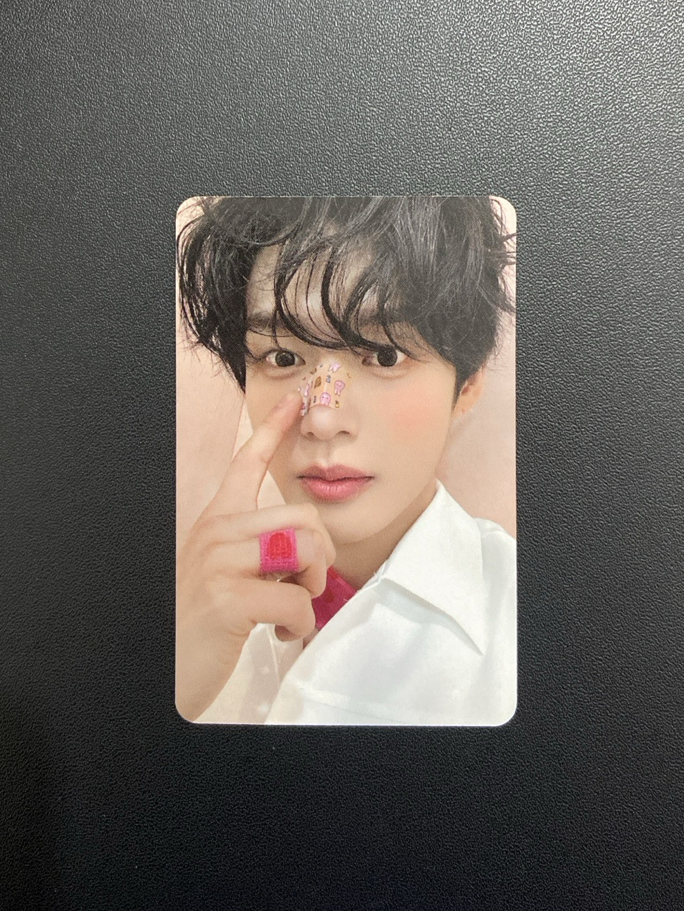 迷五｜am動物創可貼雄