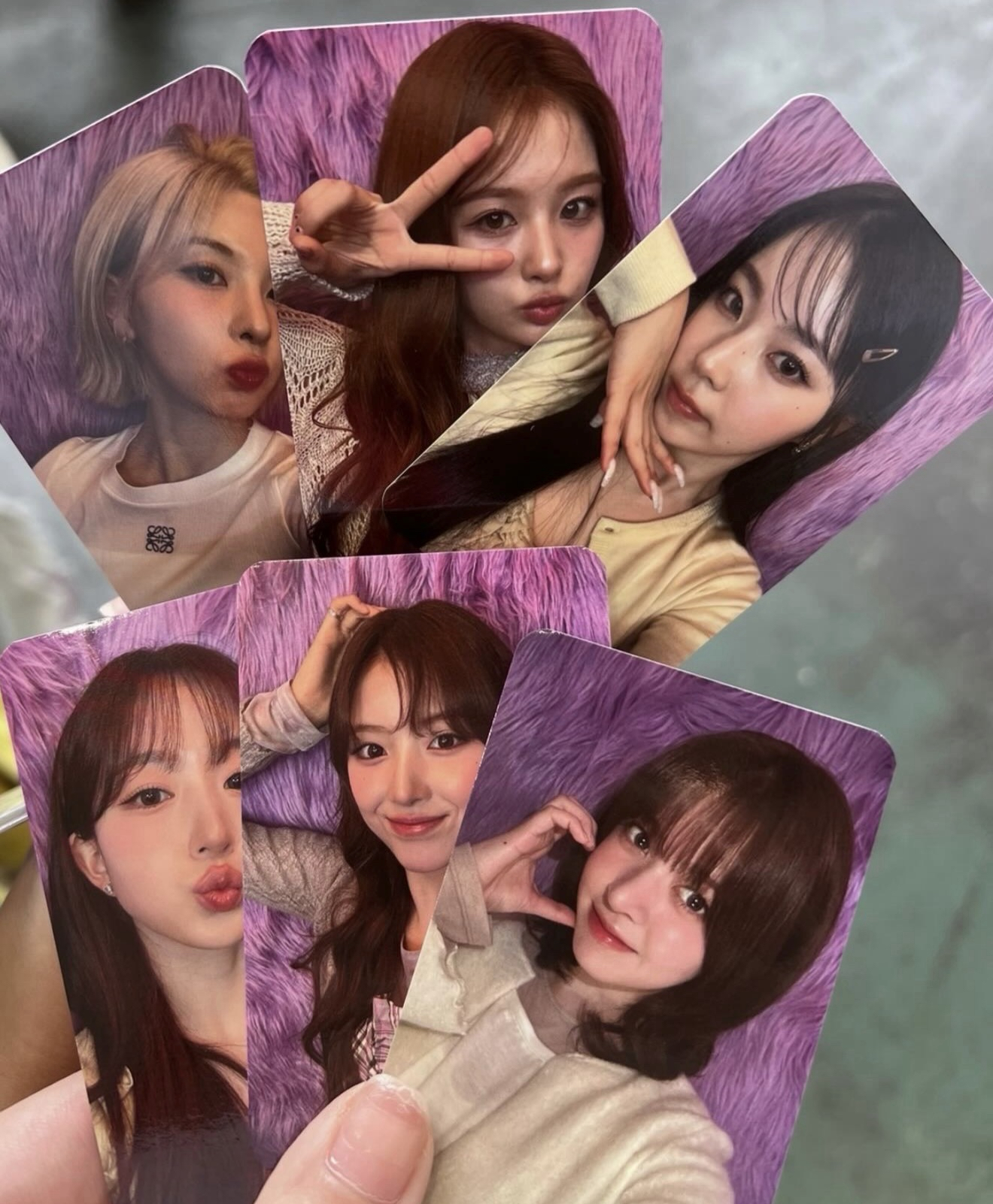 台北入場卡一套