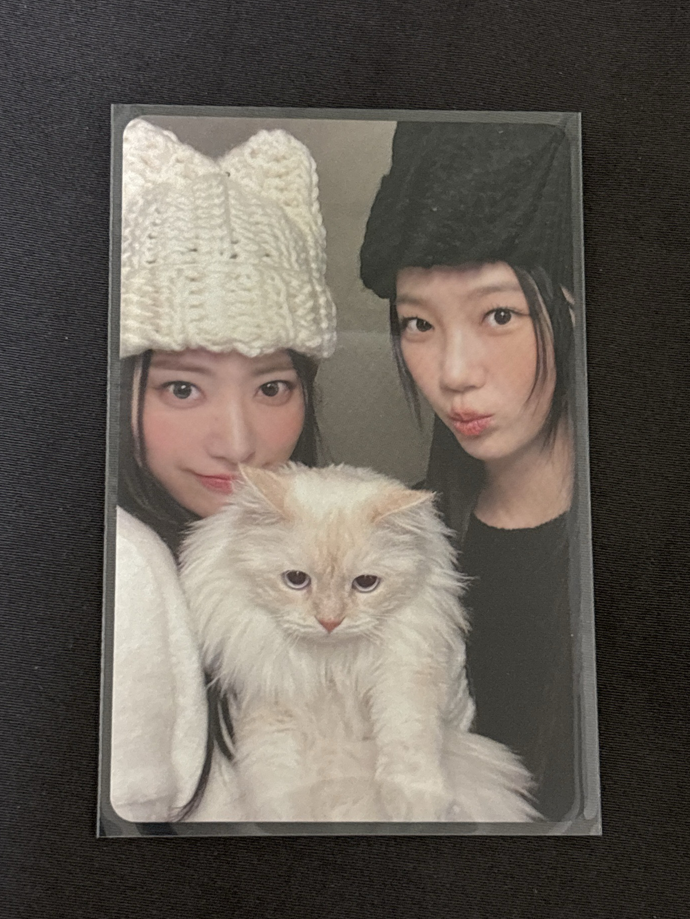 櫻葉貓貓雙人卡