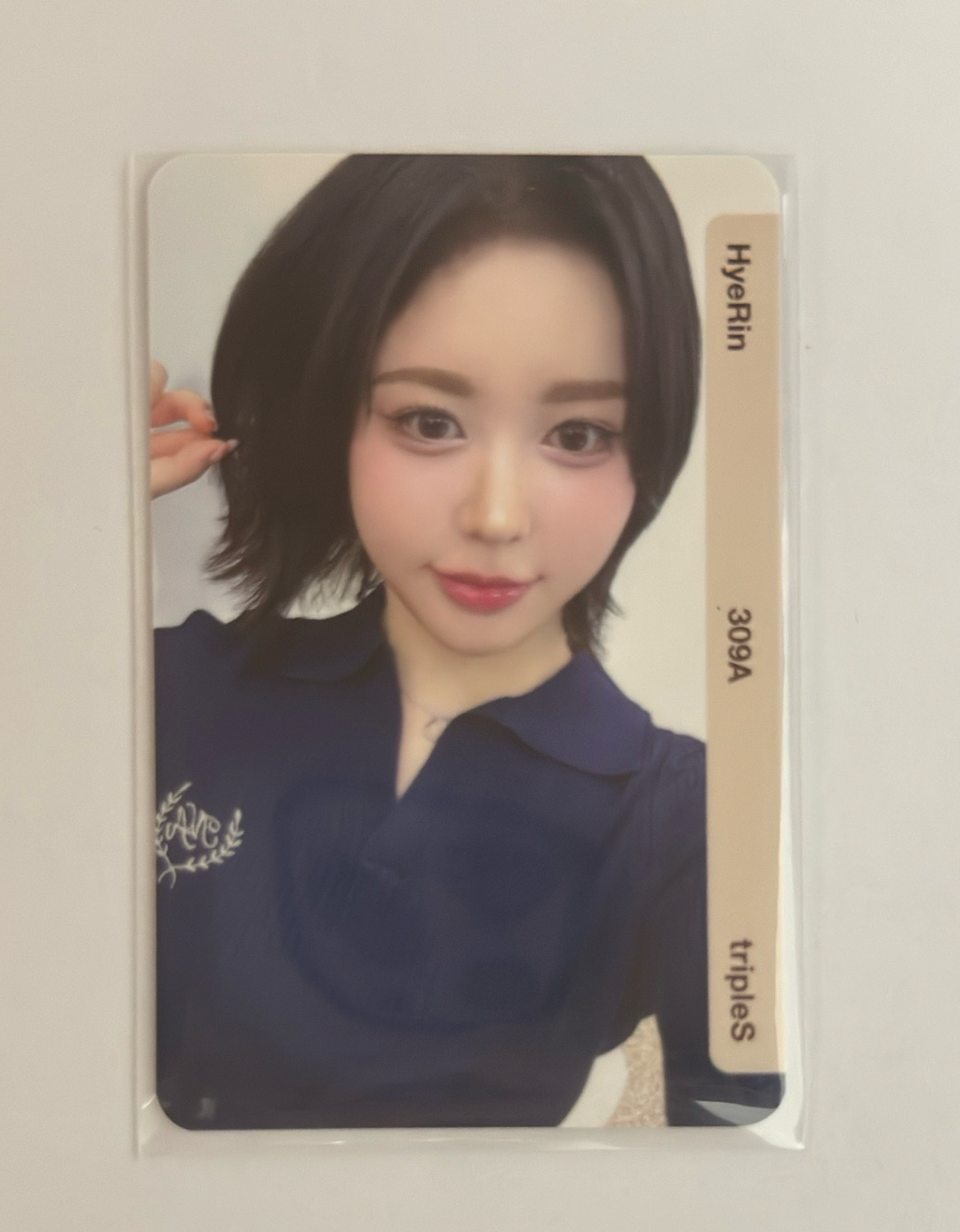 S2年曆 309A 未掃