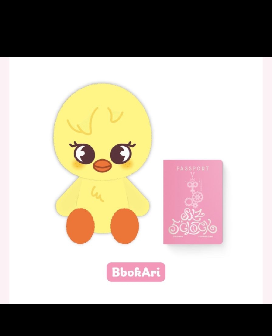 菲泰迪娃 （現貨）