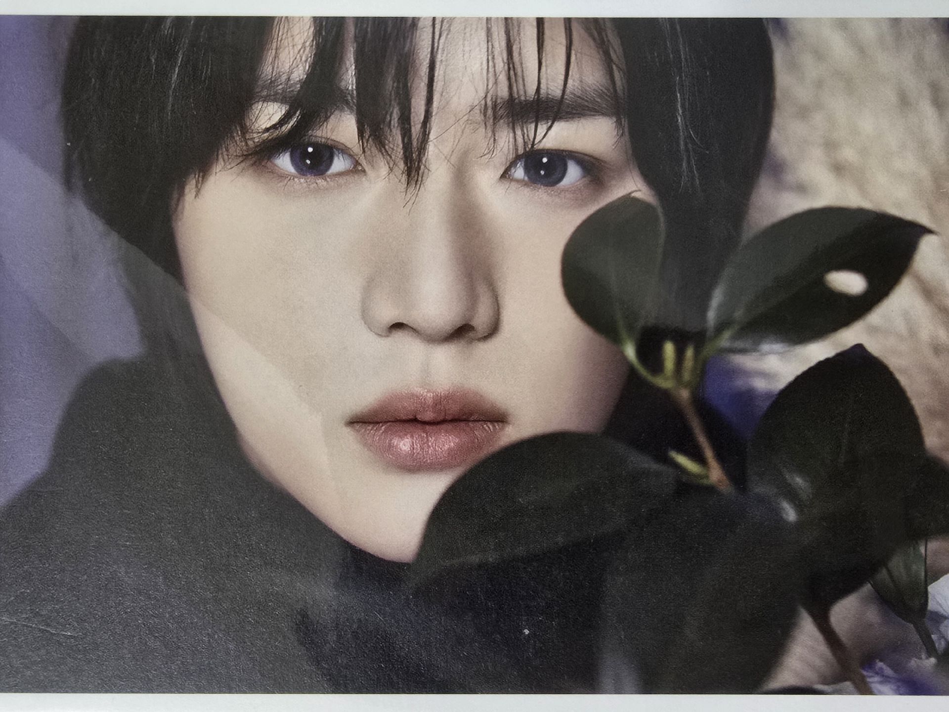 杋圭D社展明信片