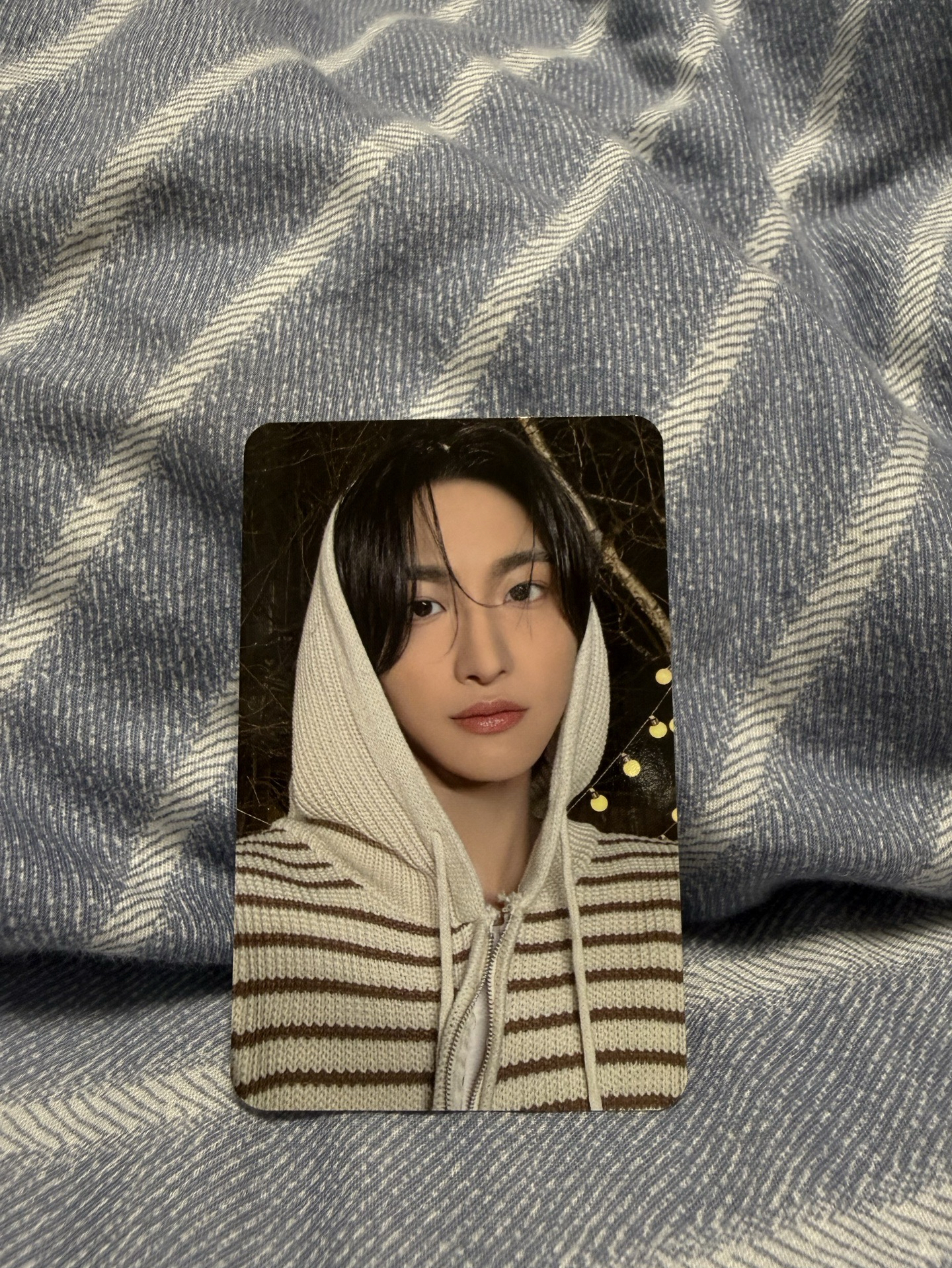 朴星化 2024夏寫 yes24 特典卡