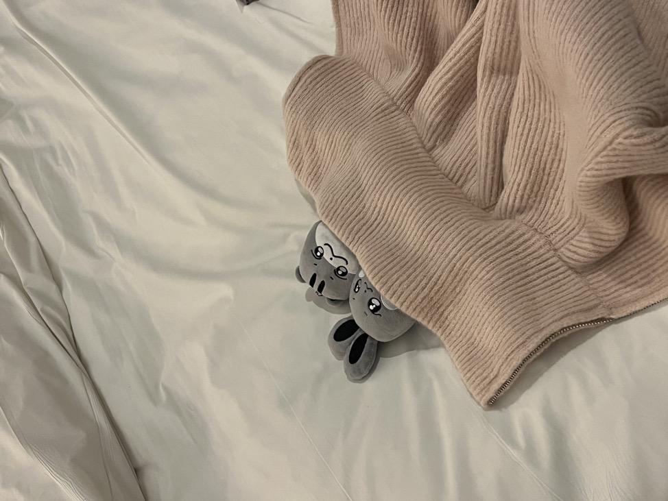 Boo‎૮ ·͈༝·͈ა   