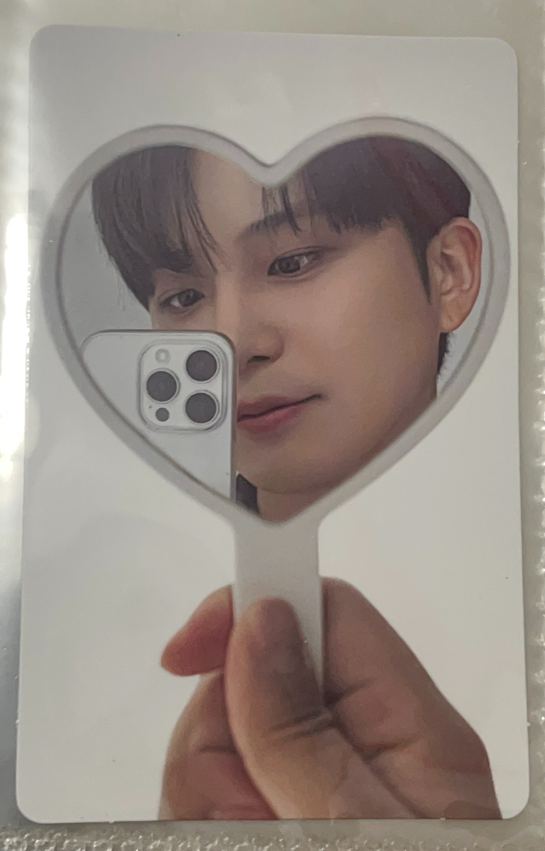 對鏡小熊那麼可愛