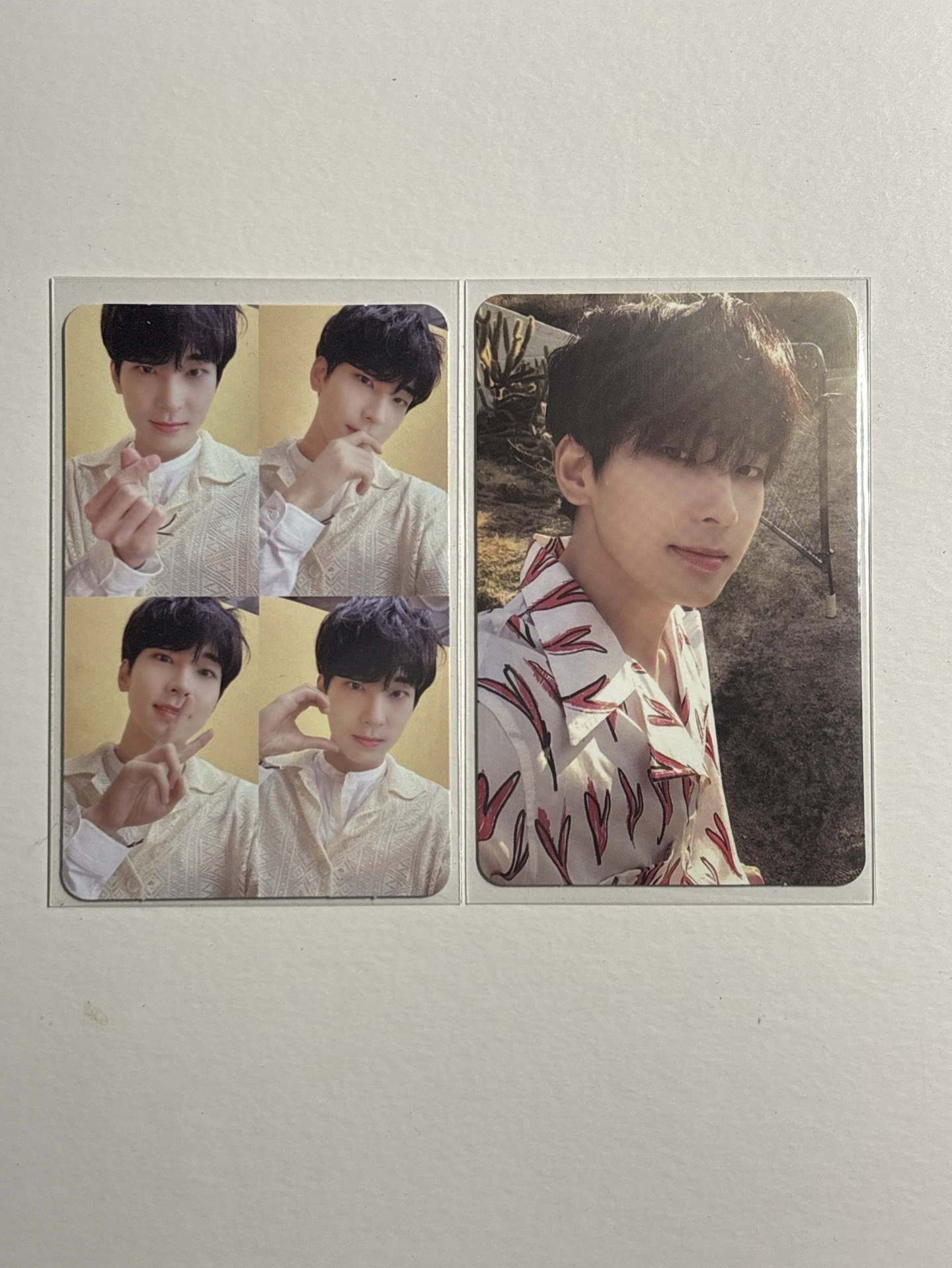 圓專卡 四格圓/陽光圓