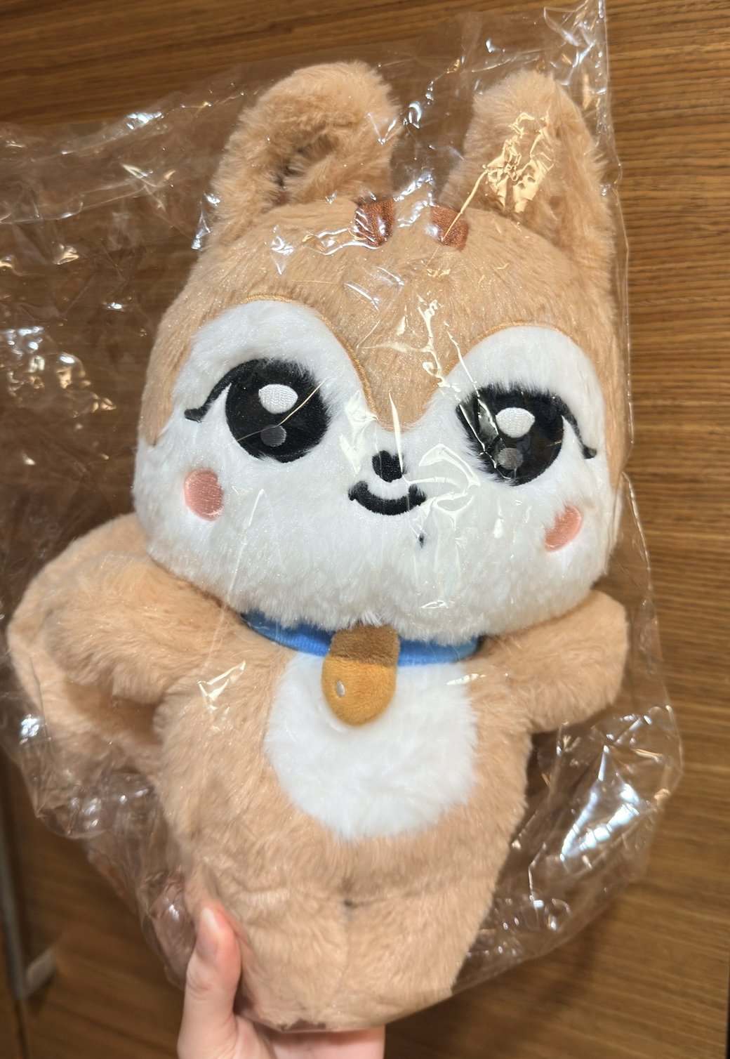 秋娃 30cm大娃 絨毛款