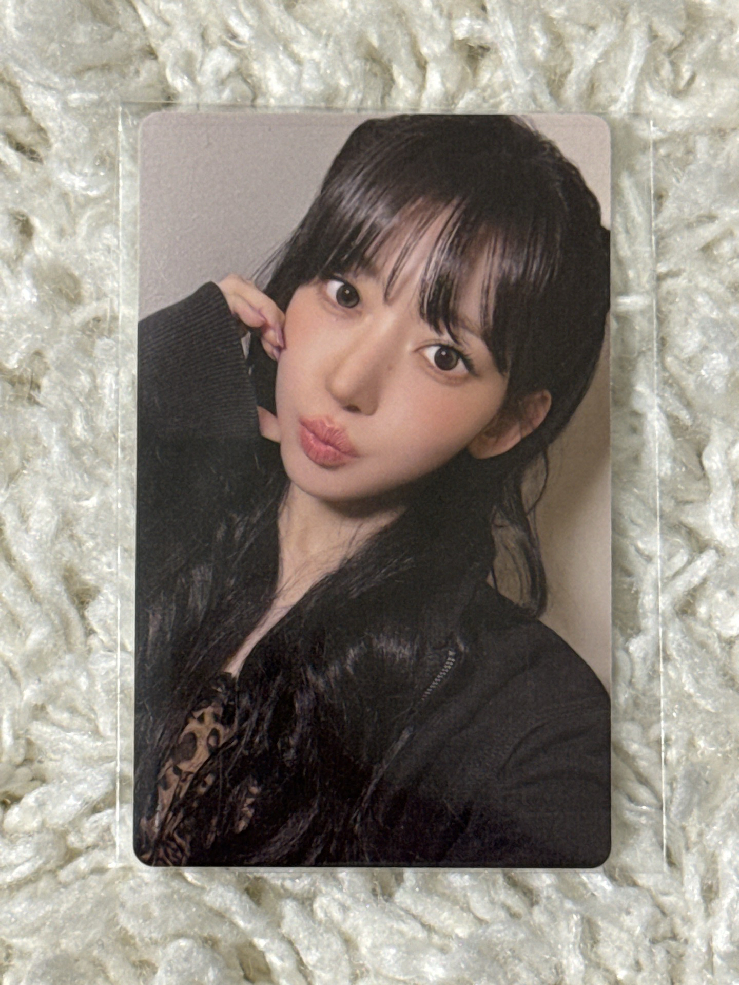 [現貨] WVS 簽售 櫻