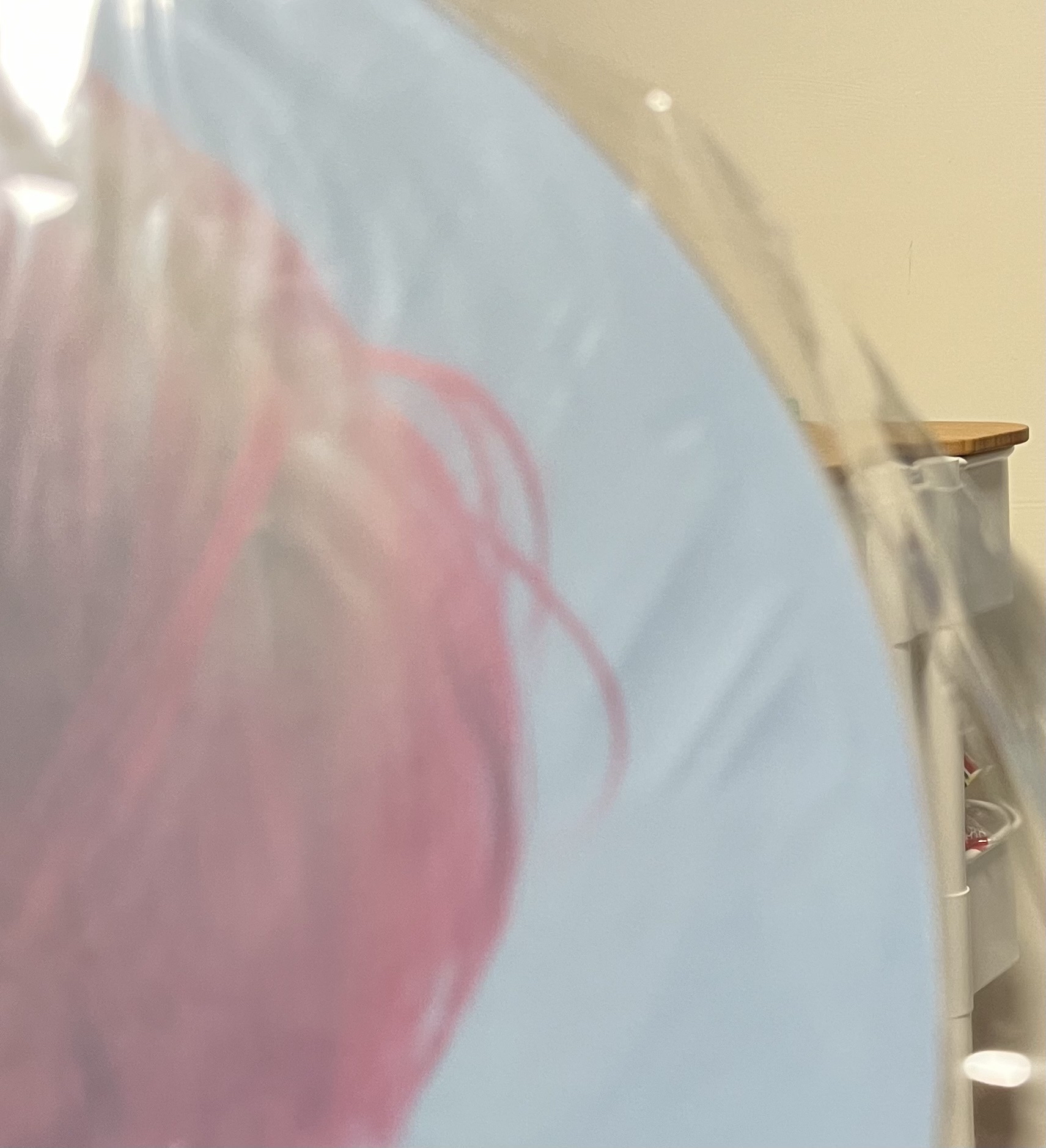 權志龍大扇（全新未拆）