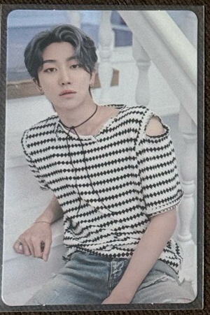 mini  9 wvs特典卡