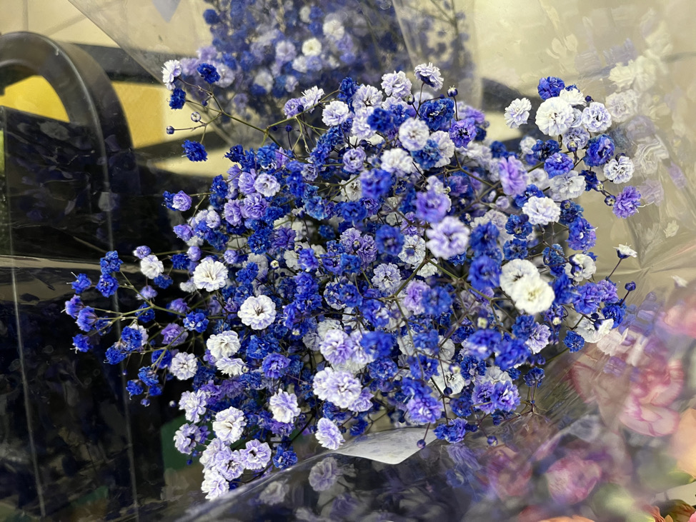 朴⭐️⭐️