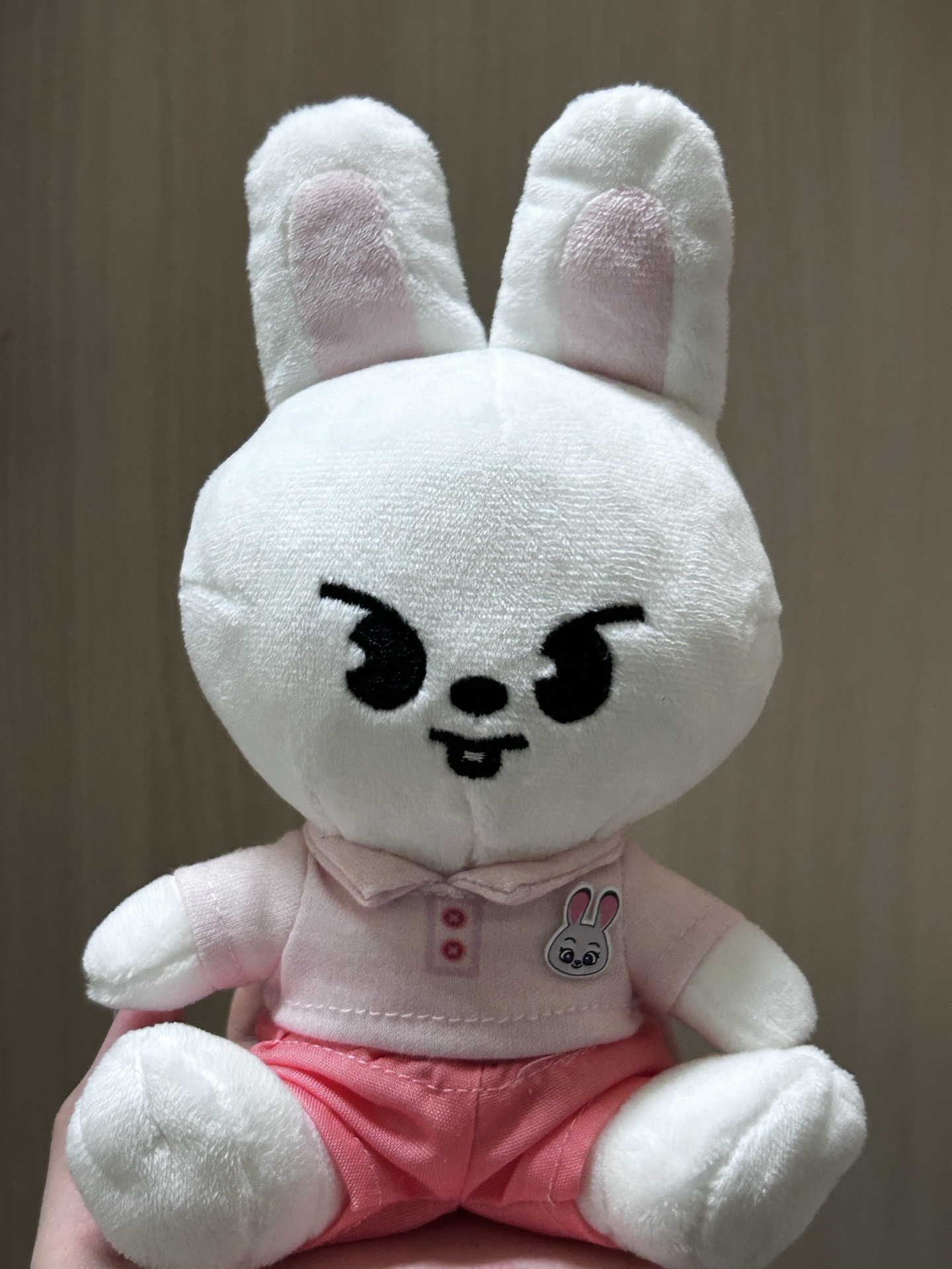 動物方程式坐娃leebit