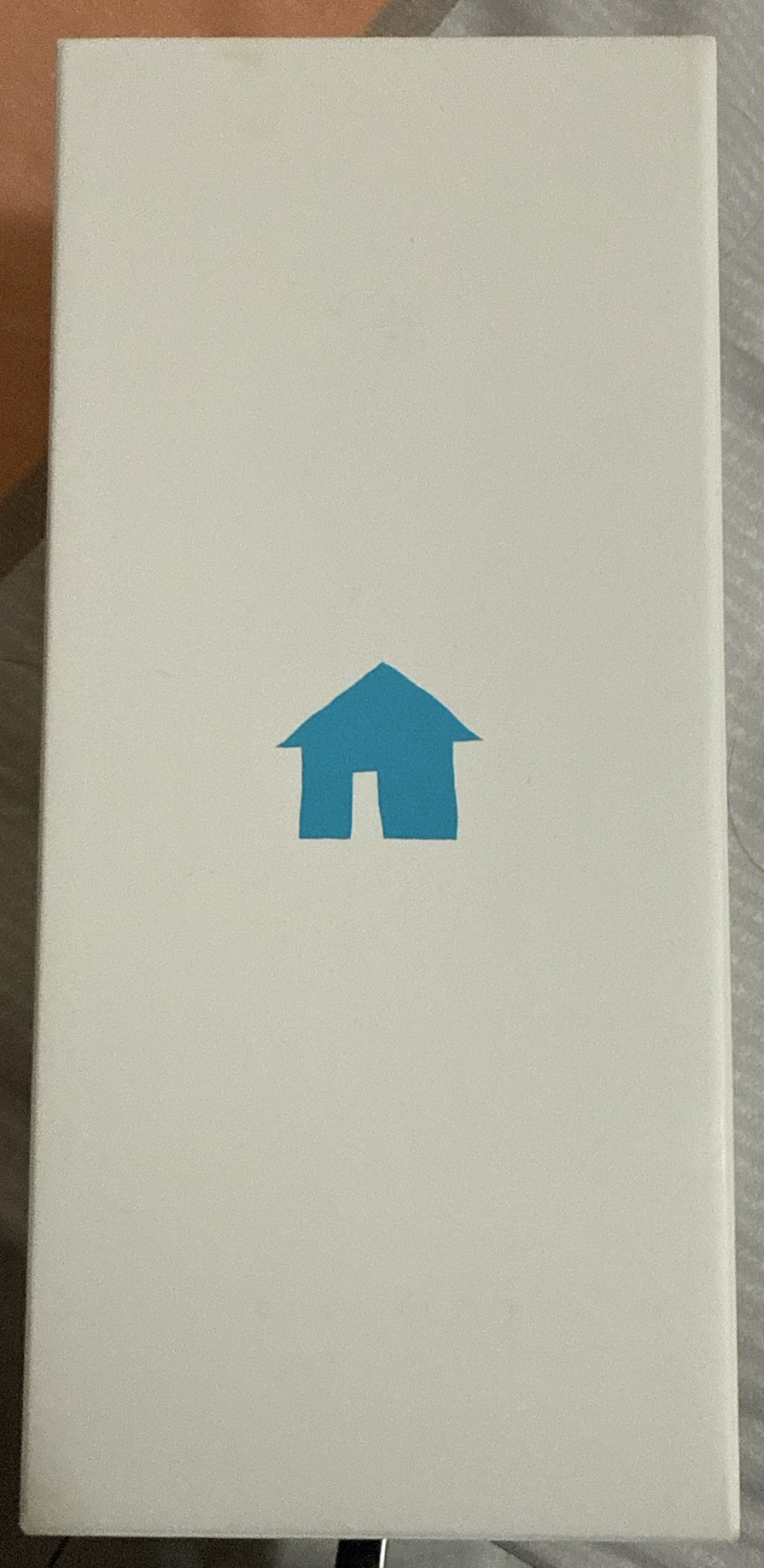 無底座手燈 二手