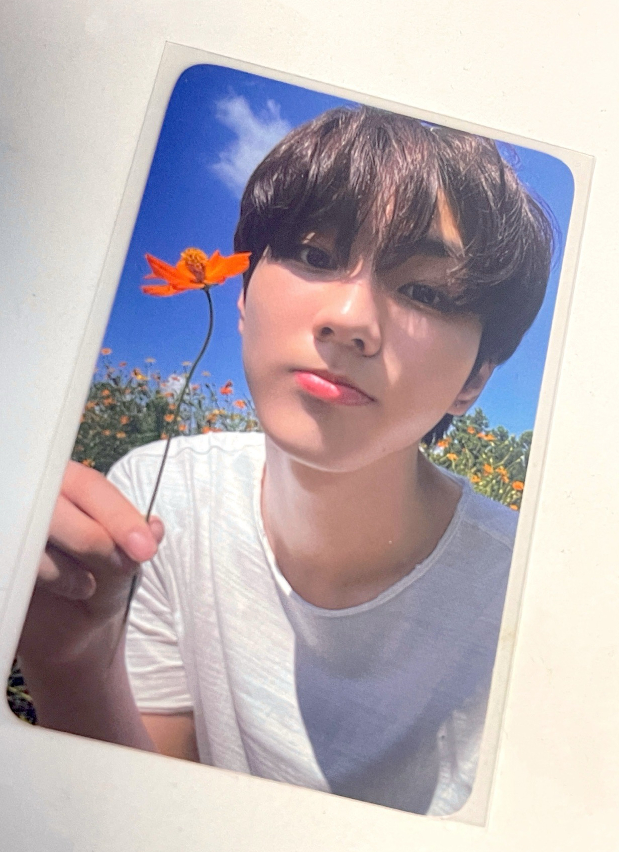 樂天入場卡元🌼