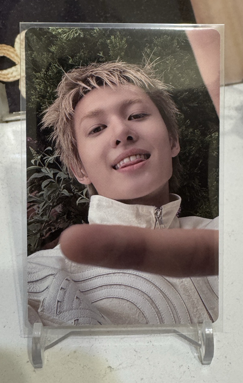 cortis 馬丁 美專專卡