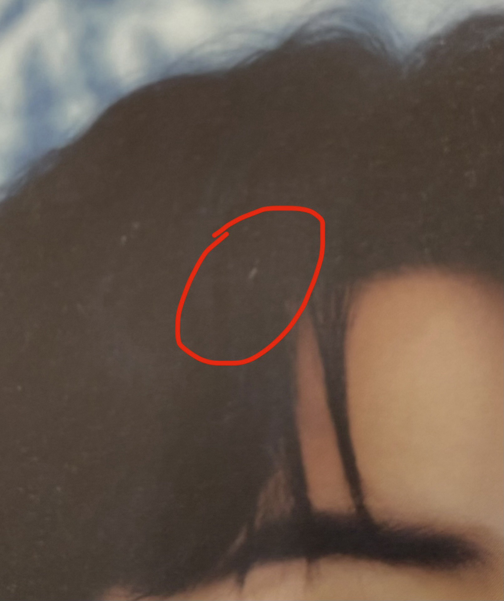 DAY6 2024 The Present Young K 照片組