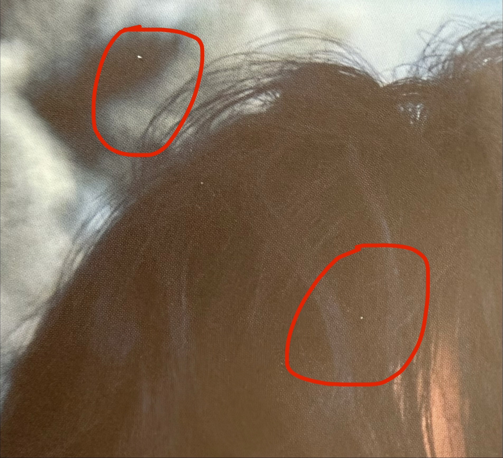 DAY6 2024 The Present 度云 照片組