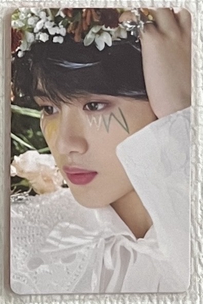 二專小花仙｜丁（需多帶）