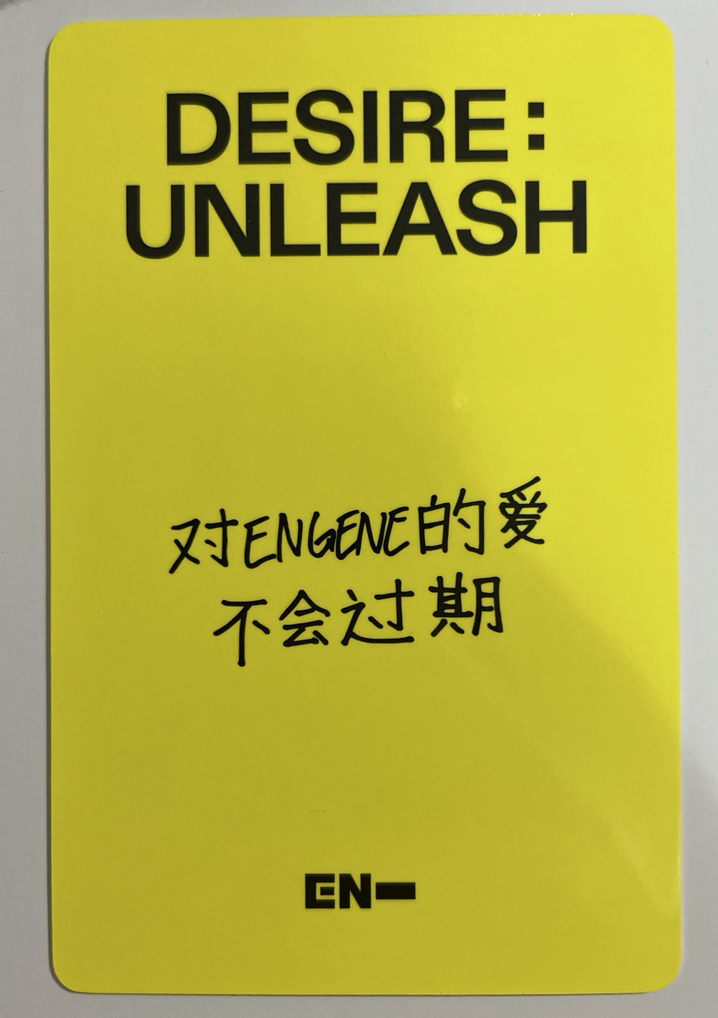 羲上海簽售中背(含綁)