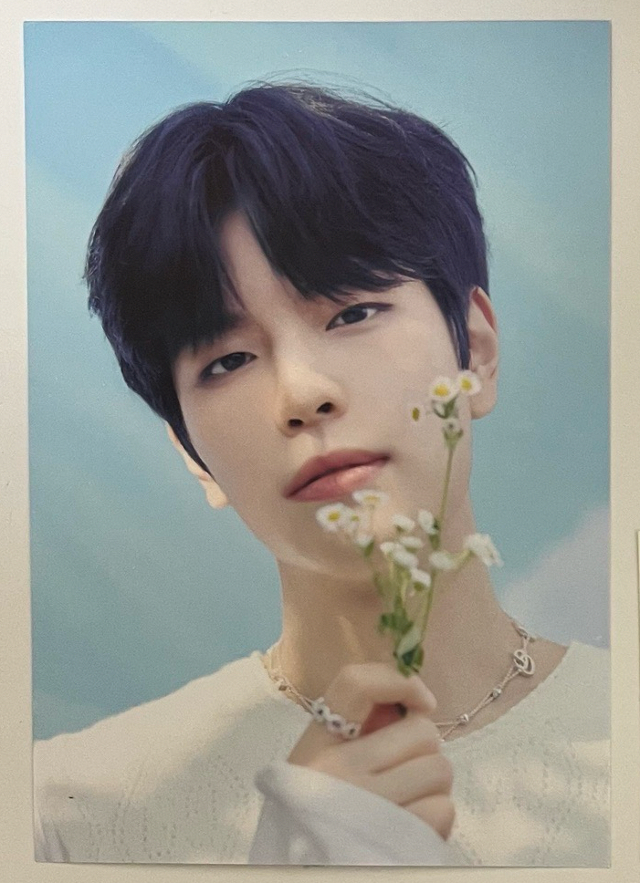 昇玟 會員禮明信片