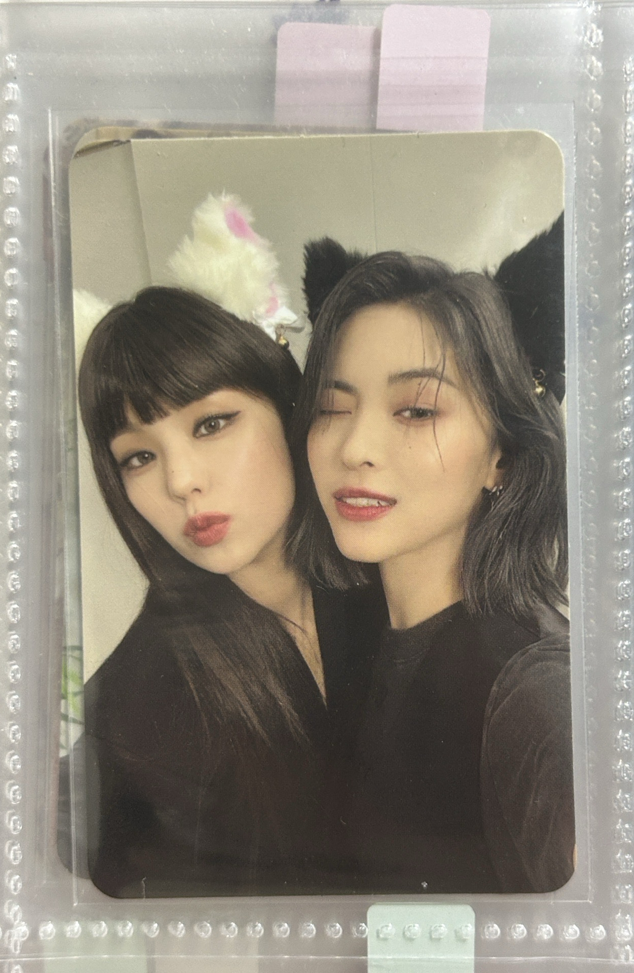 CHESHIRE 專輯卡 雙人卡