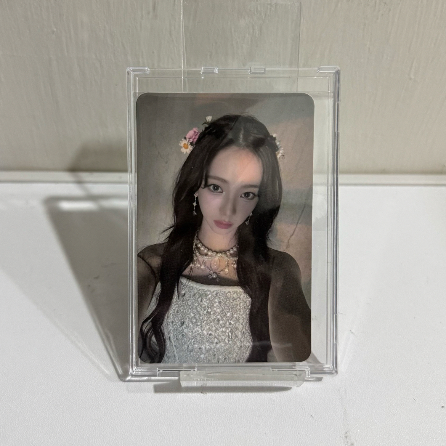 簪花柚 sm預售柚