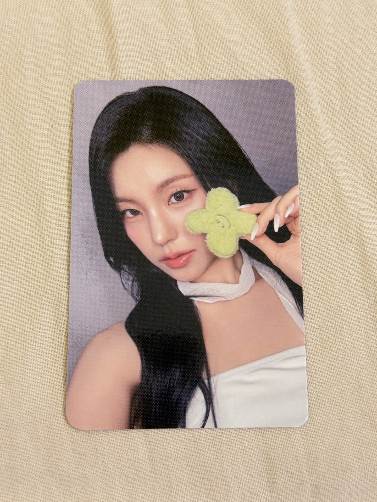 黃禮志-志氣滿滿