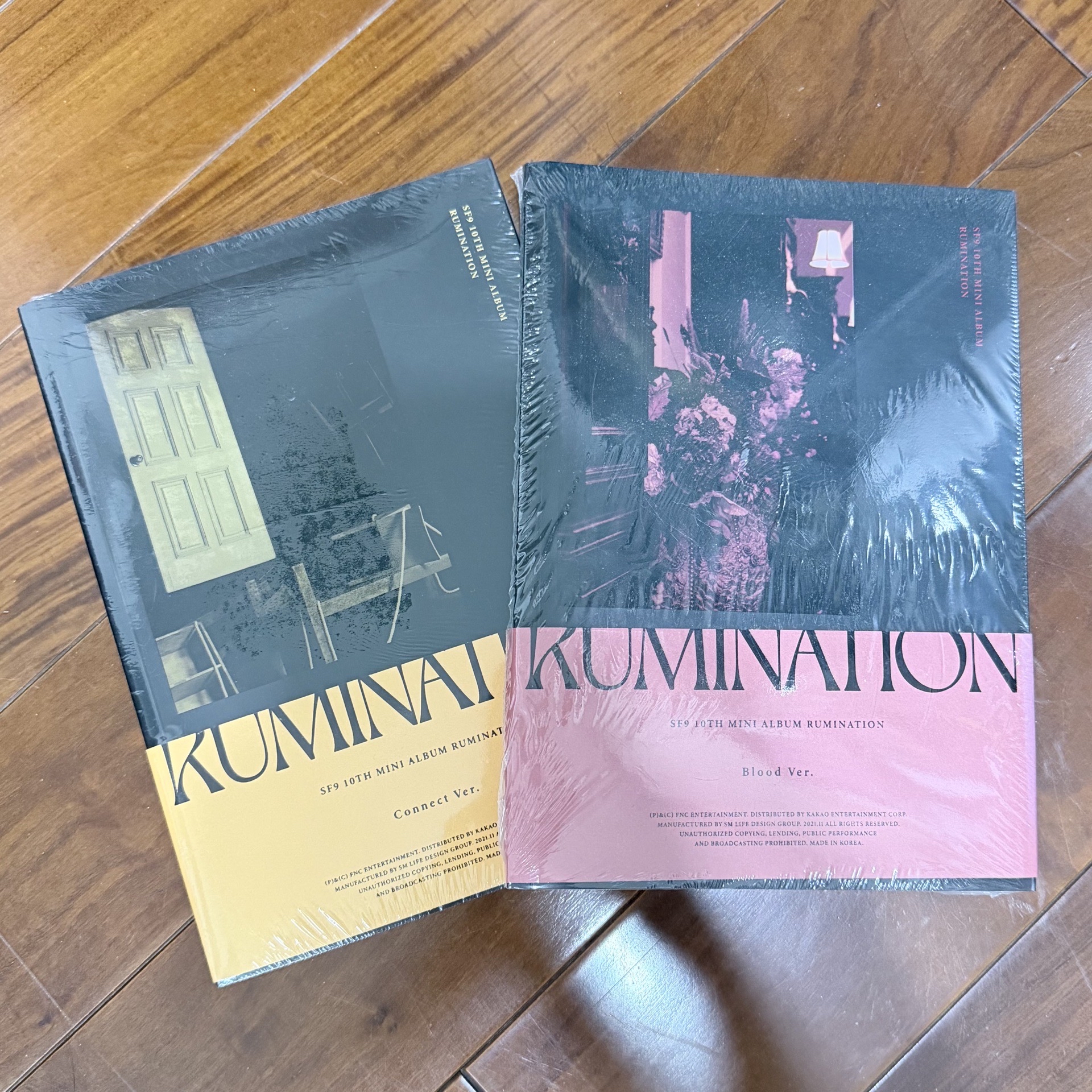 SF9 RUMINATION 未拆專