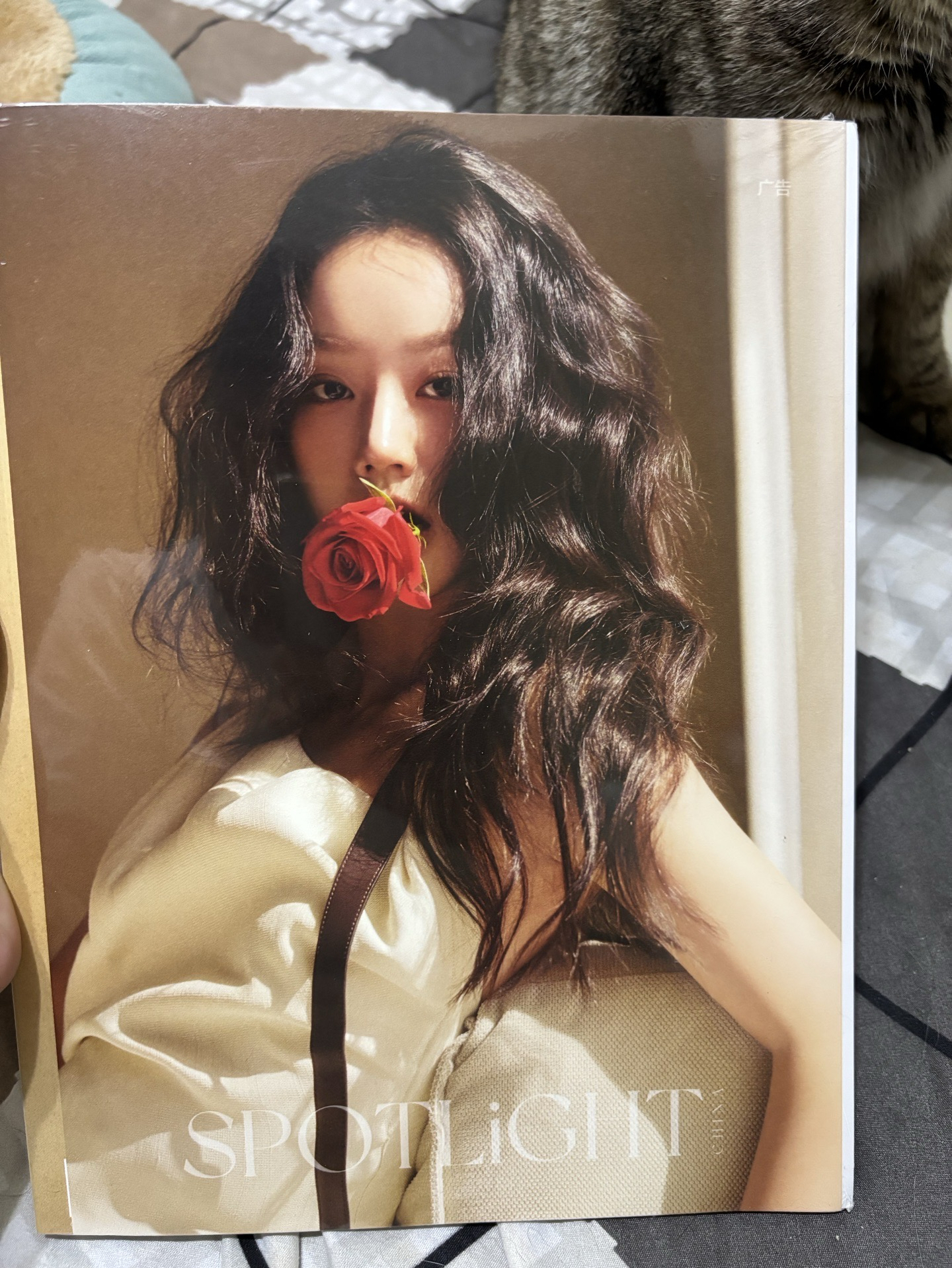 未拆封聚光雜誌