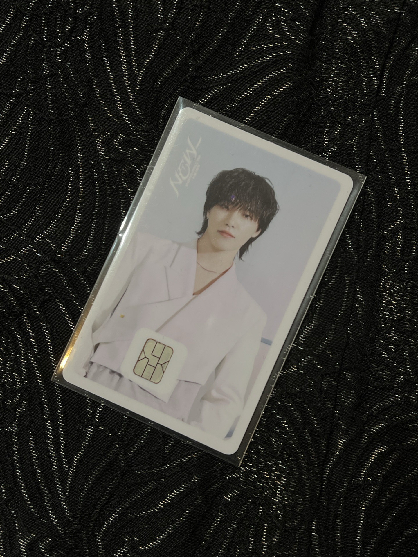 🦦燦 2025New_交通卡