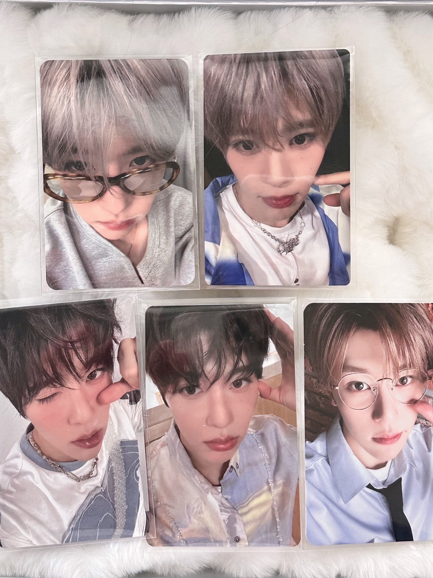 包子溫 sion小盤🌷