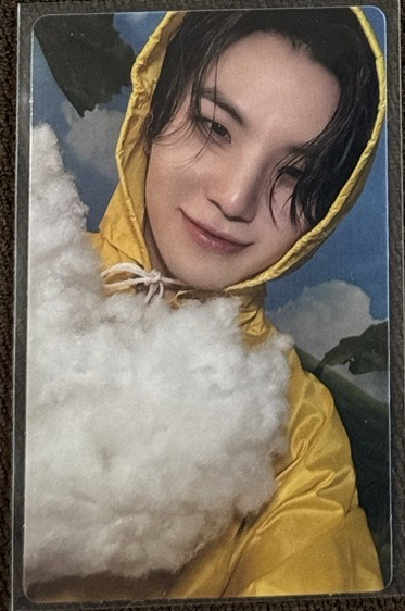 mini11 wvs 特典卡