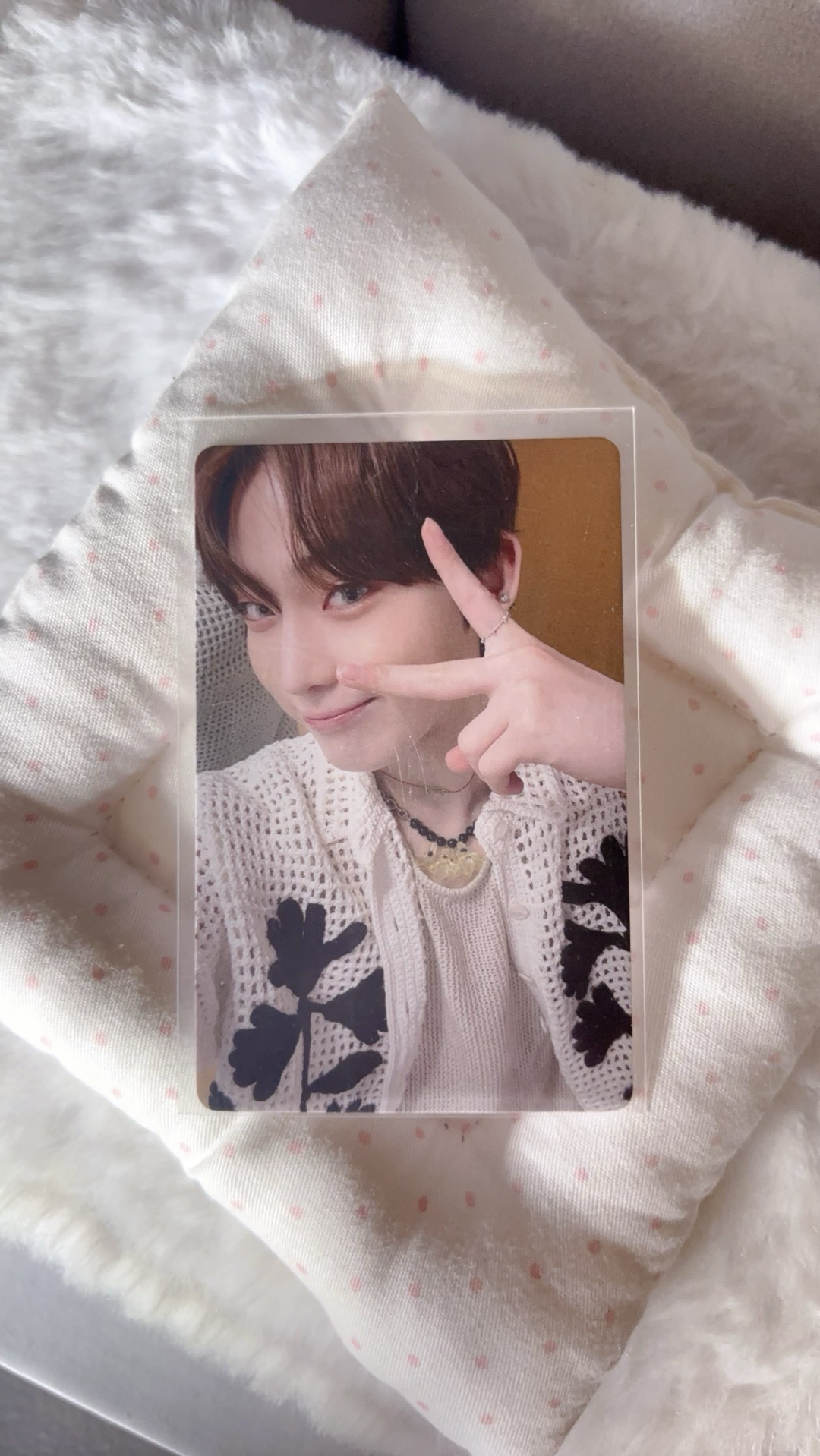 豆努迷四特典卡🦊