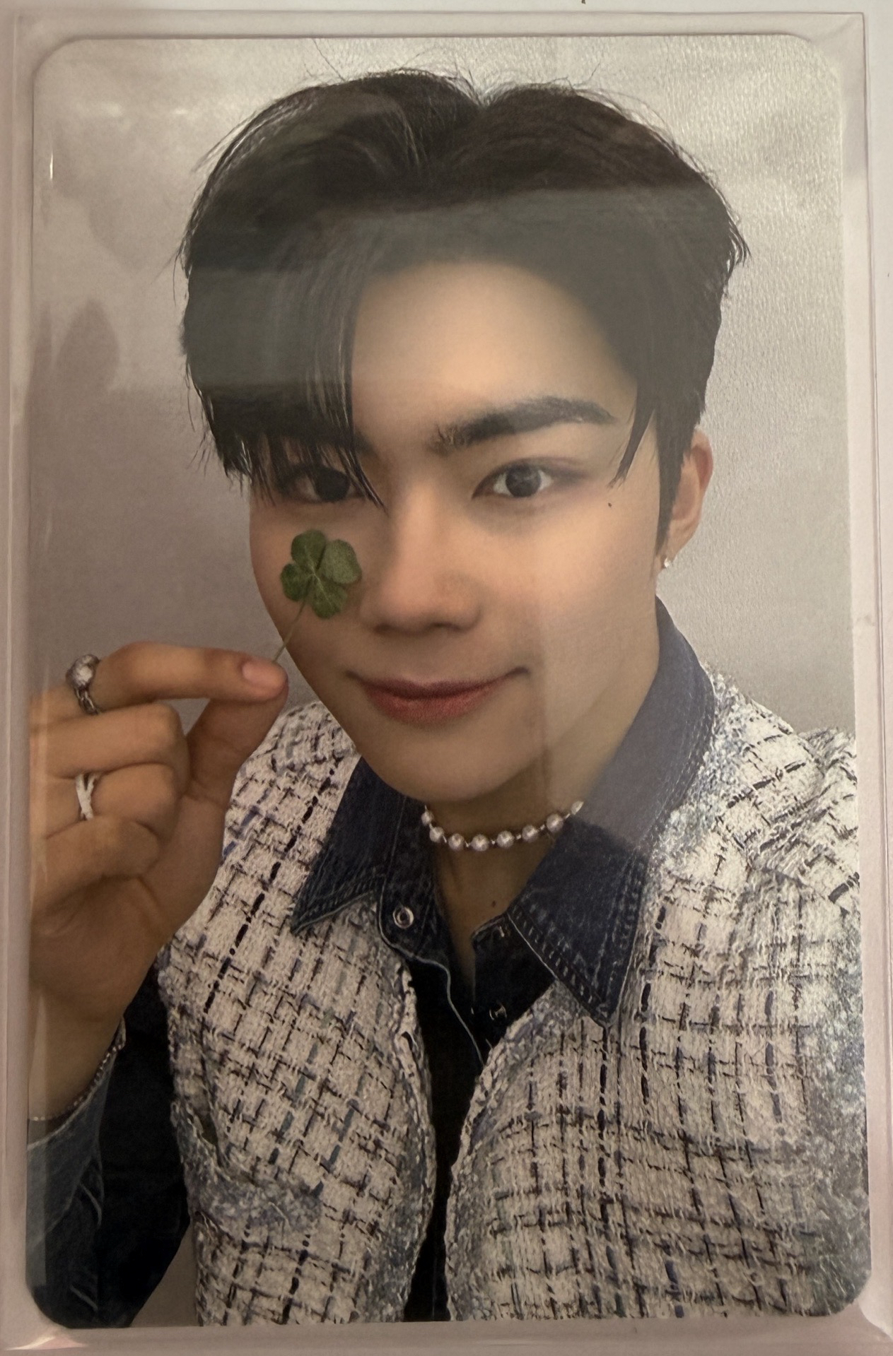 ZB1 迷二 JU 幸運卡 幸運草 朴乾旭 GUNWOOK