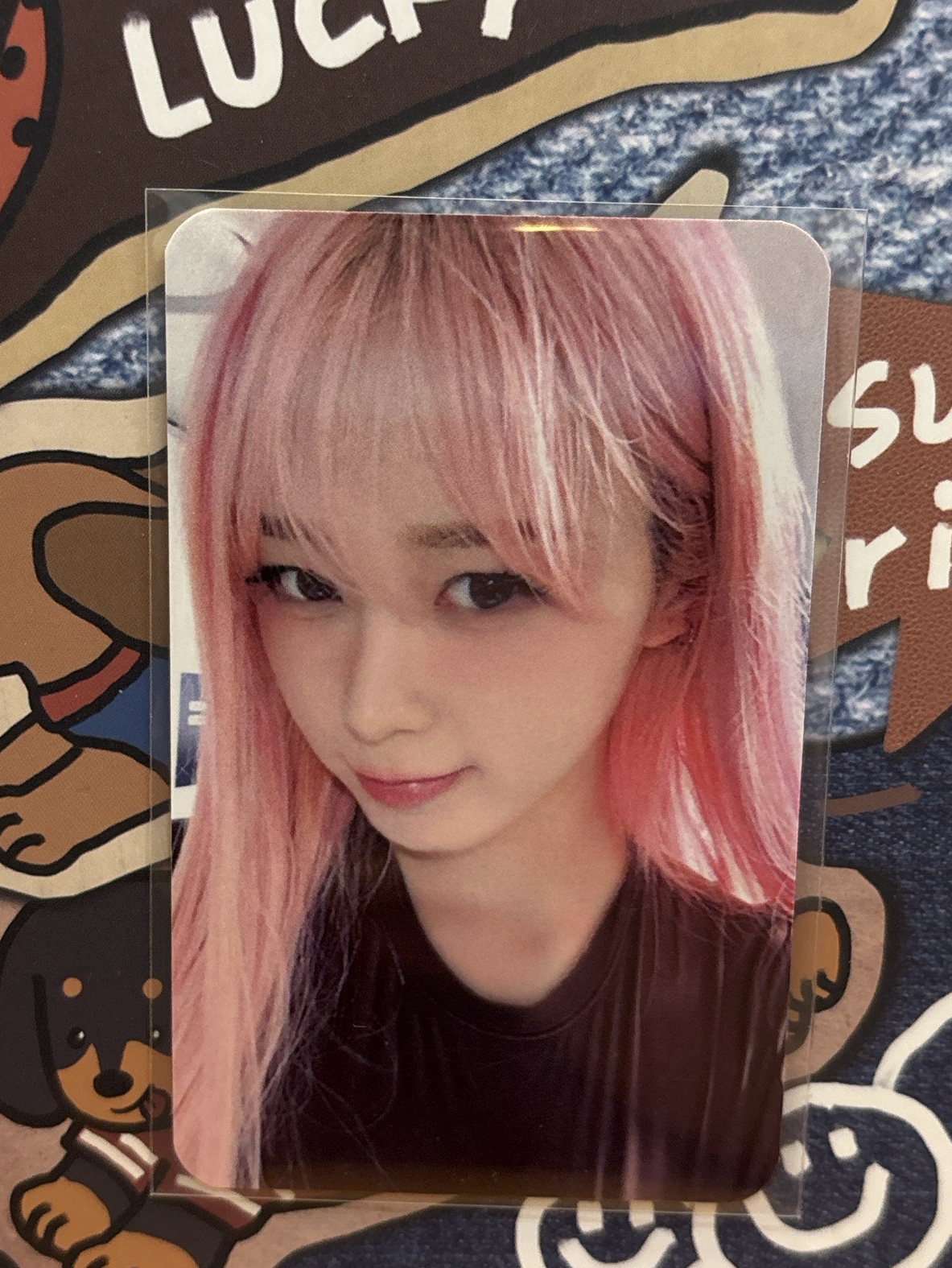 Whiplashㅣ萌萌的水蜜桃吉🍑