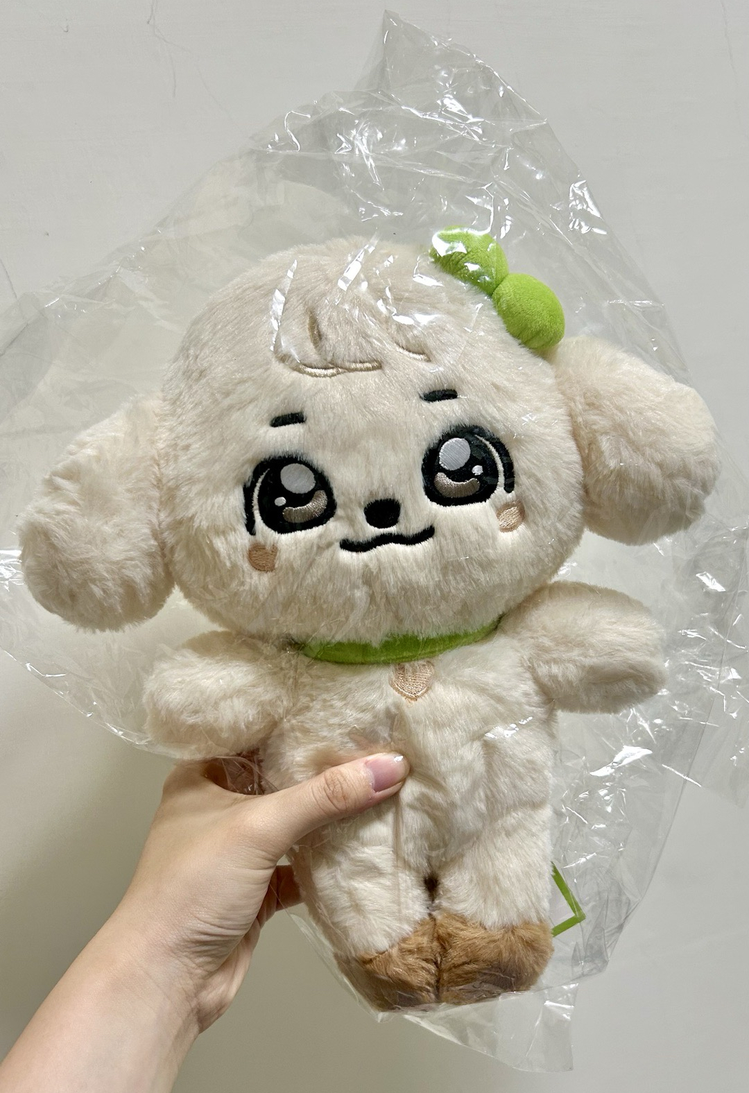 30cm安娃 Ganganji MINIVE 30公分大娃