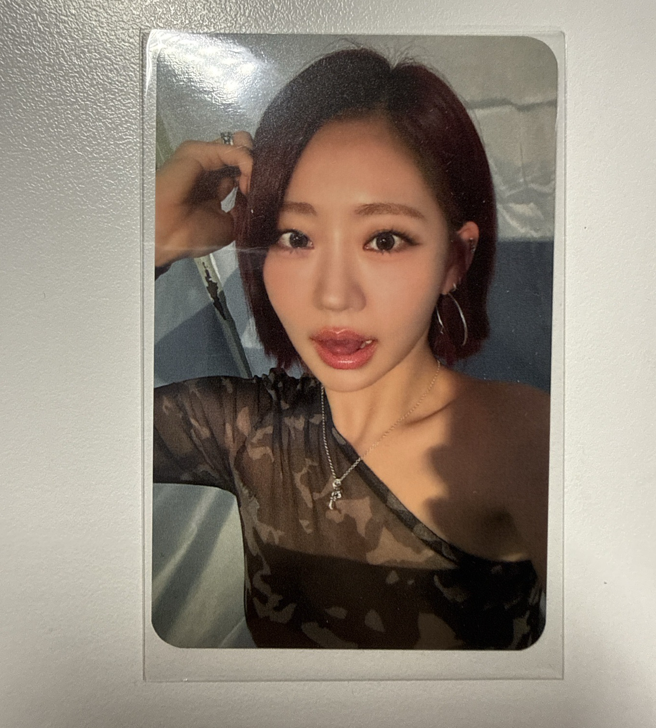 224 nemoz 預售 特典卡 