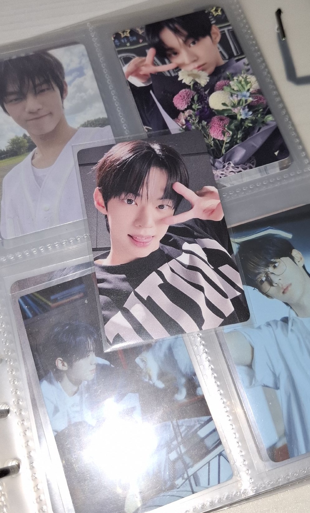 道勳中背想見尼