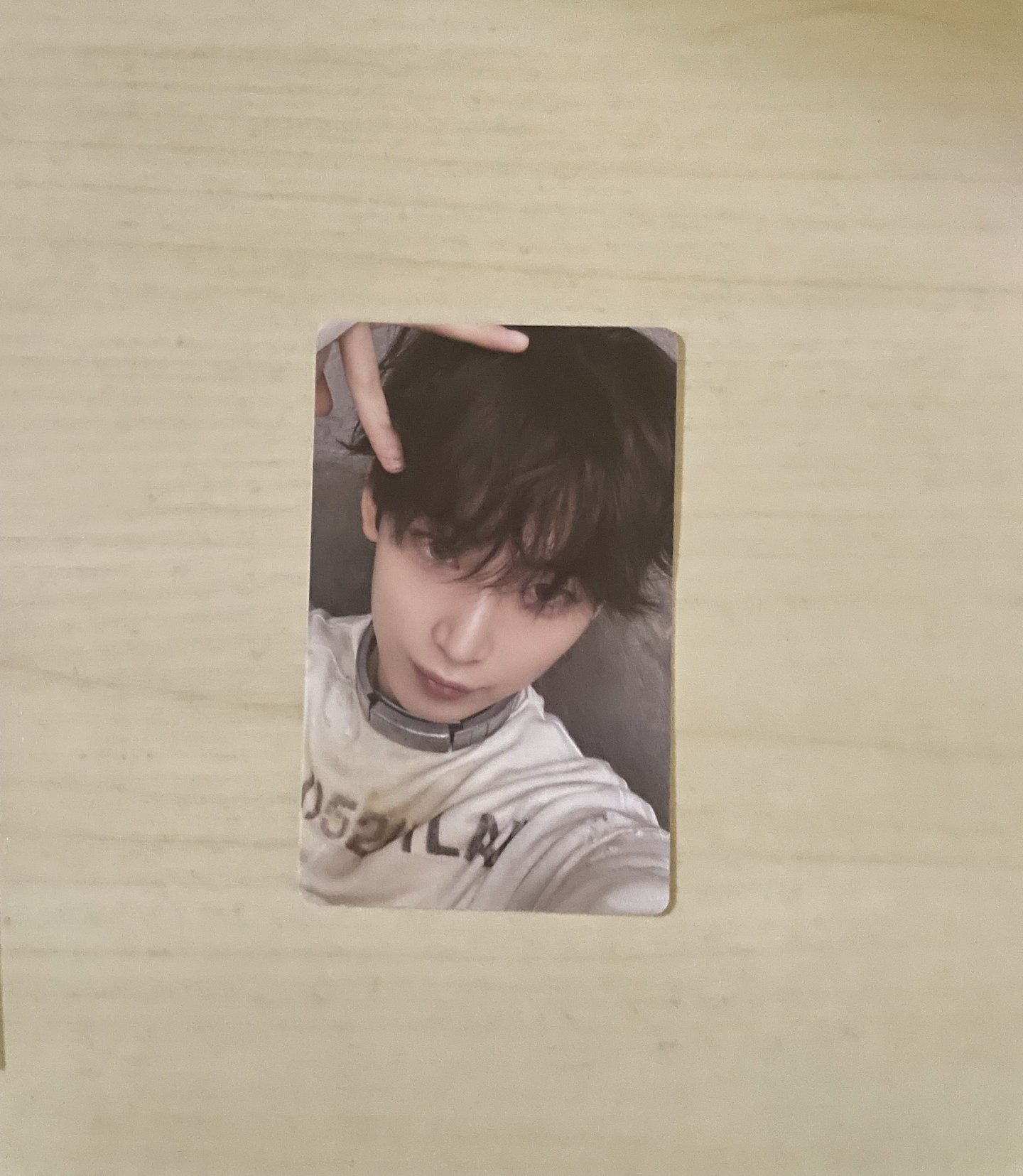 善禹 迷六電子專隨機卡