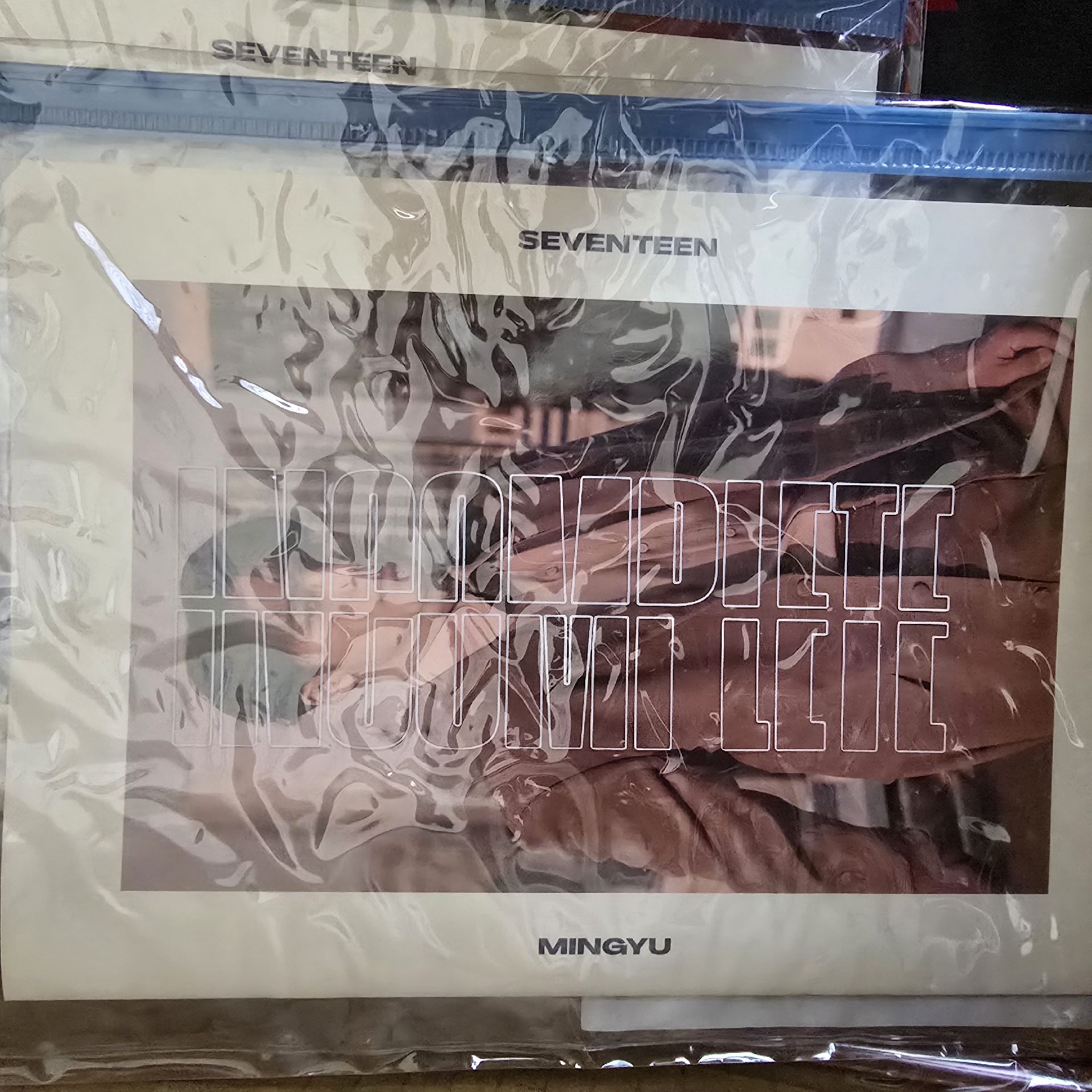 SEVENTEEN 演唱會周邊 INCOMPLETE 珉奎寫真