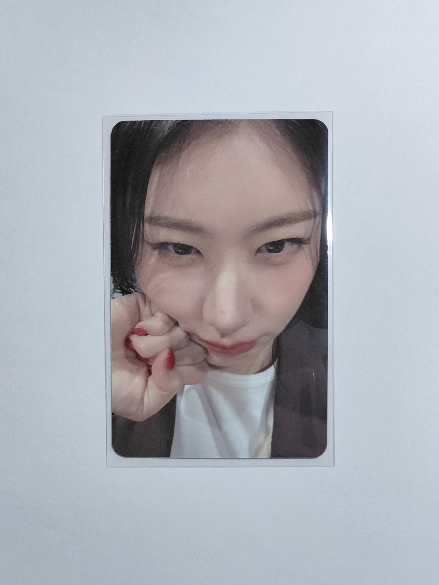 tnvs sr上海 豆丁領