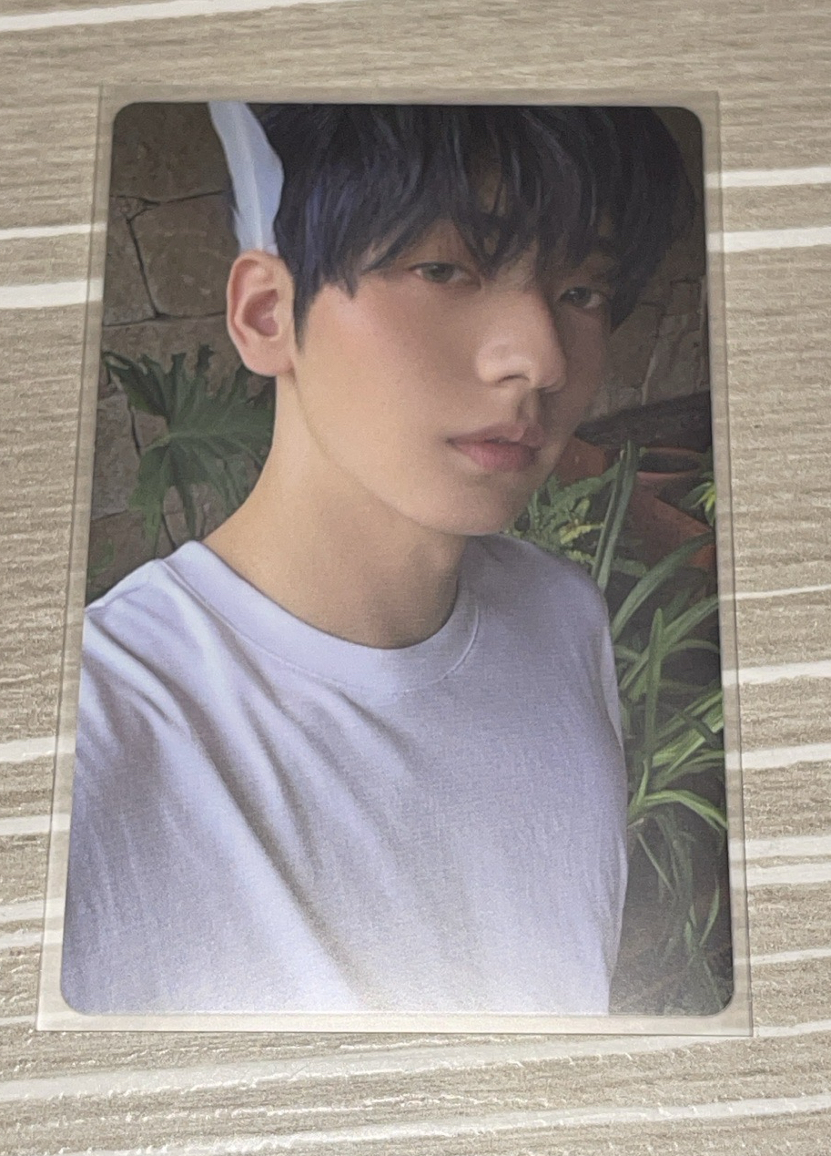 迷七 專輯卡 單封 Angel版