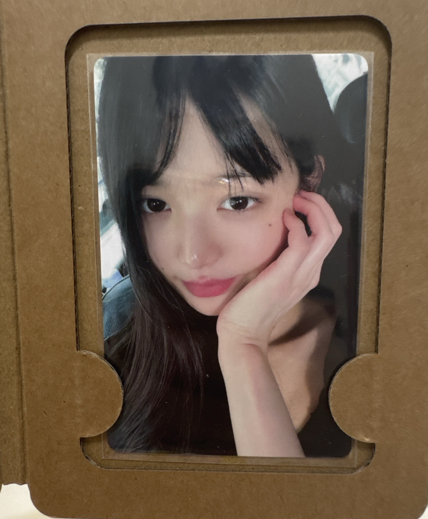 員 京東特典中背