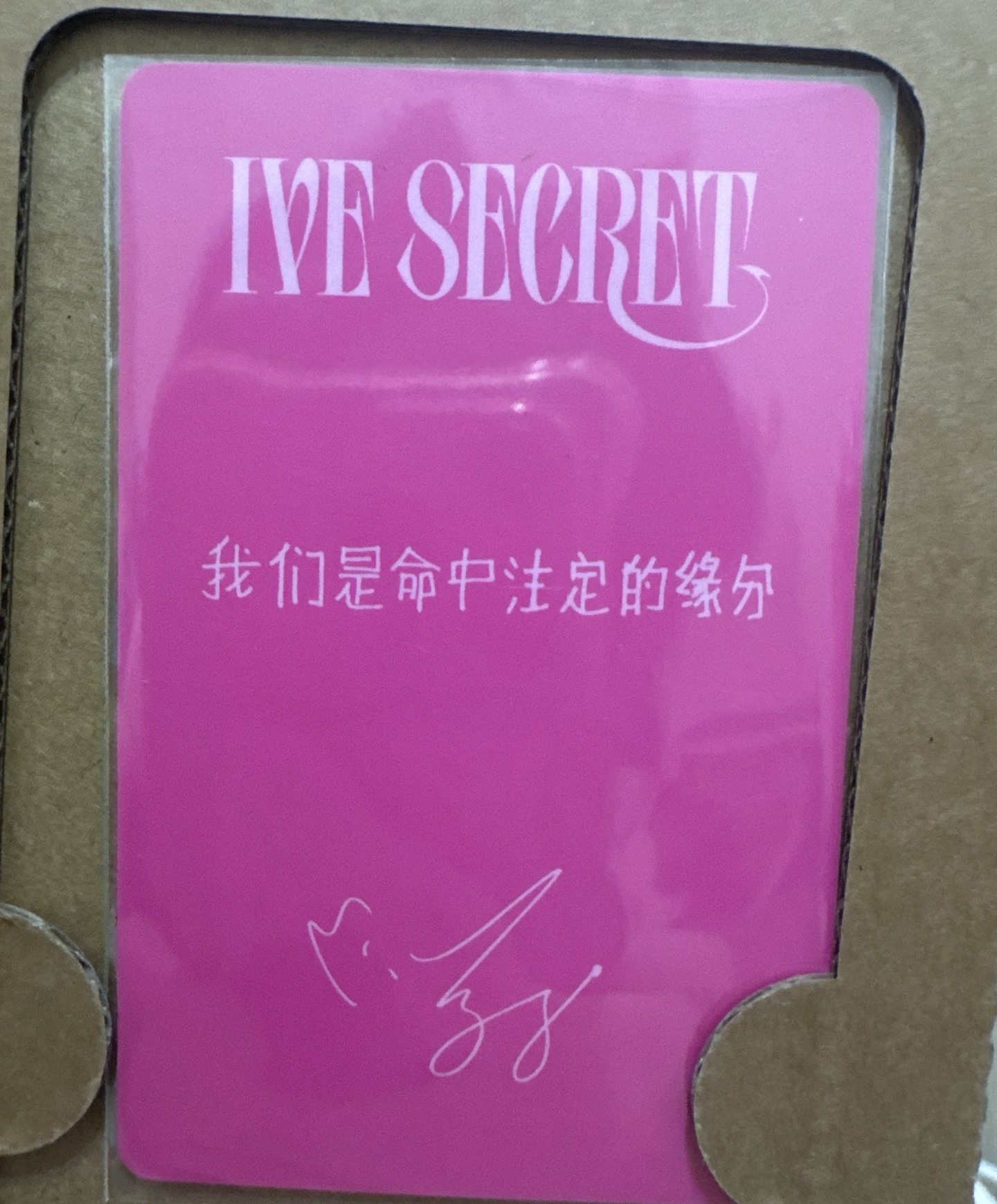 員 京東特典中背