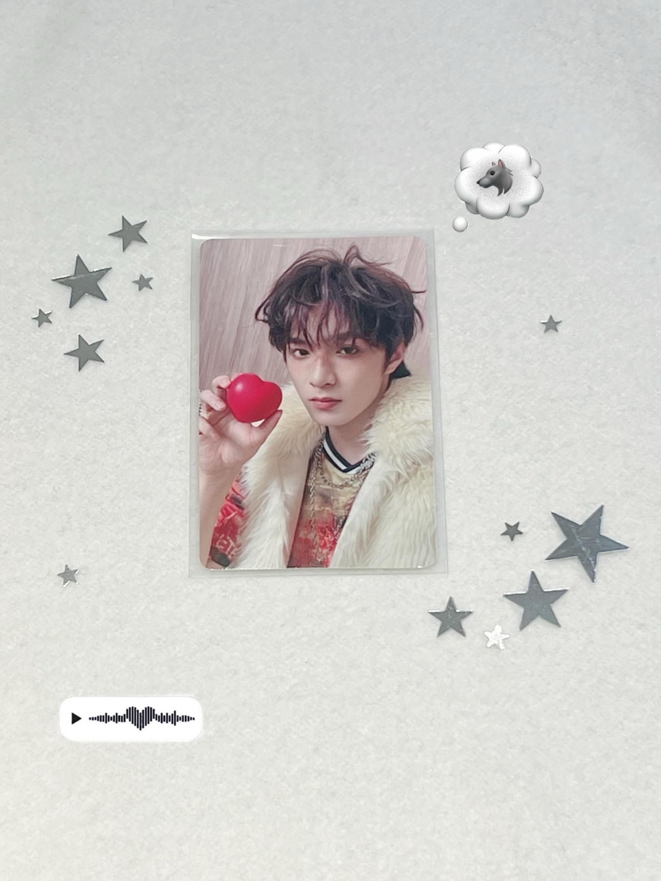 上海團款單人小卡✨LYW文款